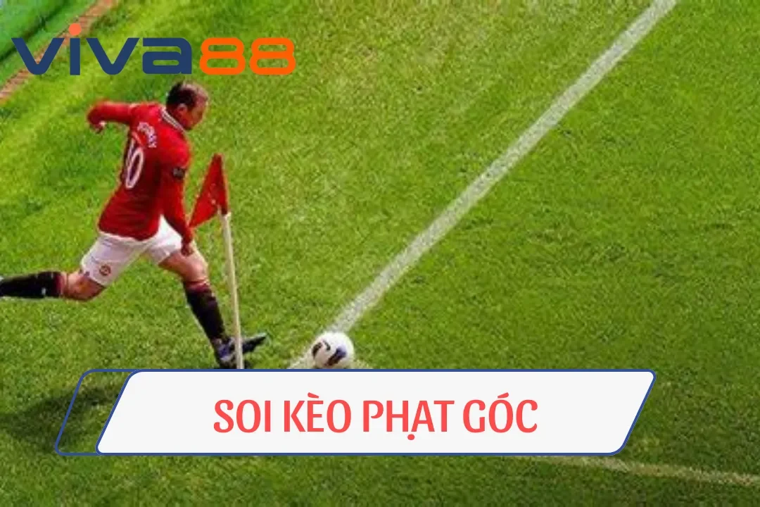 soi kèo phạt góc