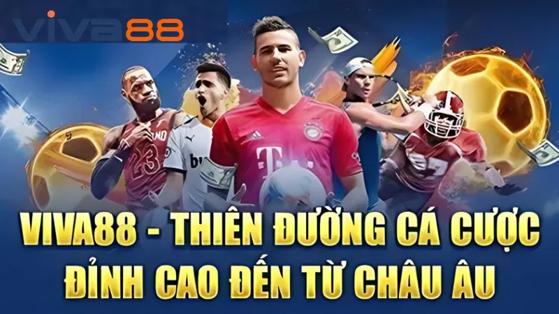 Về chúng tôi - Kế hoạch dài hạn mà Viva88 đang hướng tới