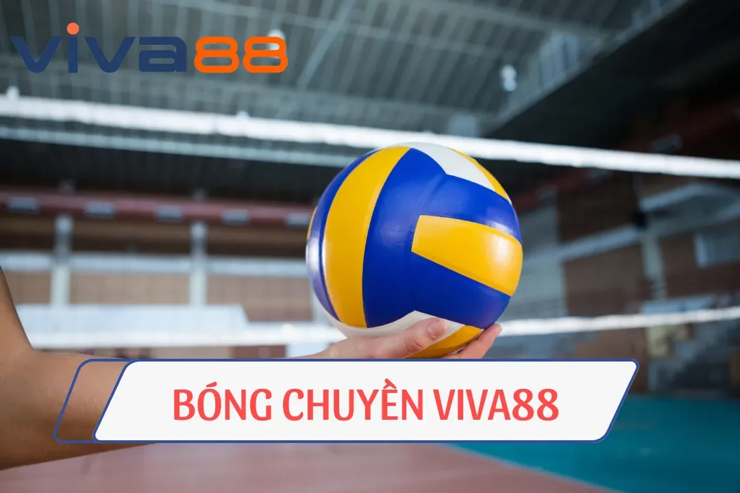 Bóng Chuyền Viva88