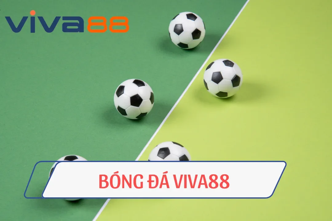 Bóng Đá Viva88