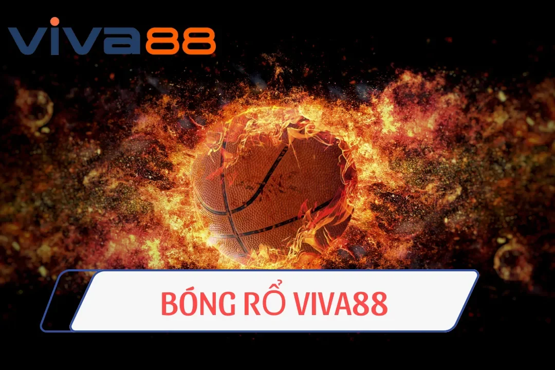 Bóng Rổ Viva88