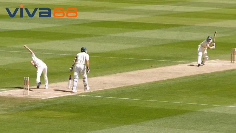 Cách truy cập cricket Viva88 chính xác nhất