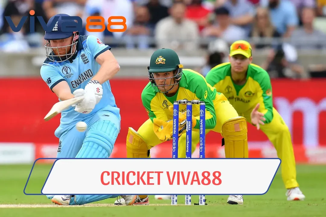 Cricket Viva88