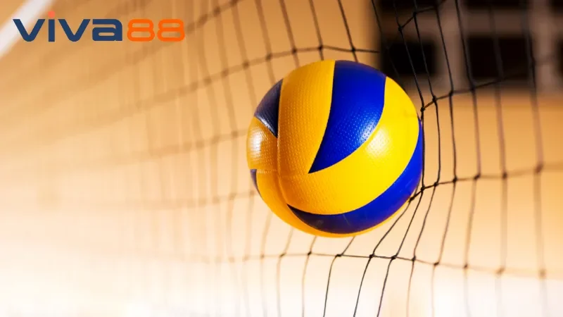 Điểm nổi bật của Bóng chuyền Viva88