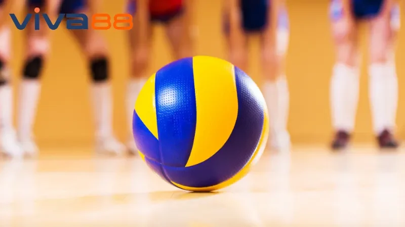 Kêu gọi hành động (CTA) khi tham gia Bóng chuyền Viva88