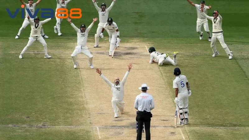 Thay đổi về tỉ lệ cược trực tiếp cricket Viva88 trong trận đấu