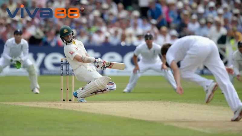Tổng quan về cricket Viva88